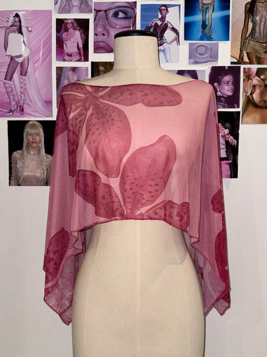 Capa Ana - Orquídeas