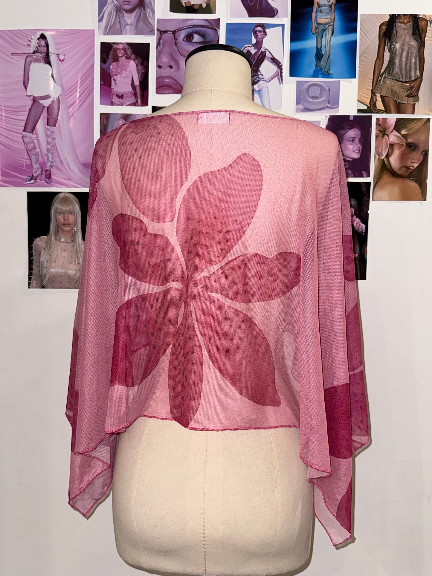 Capa Ana - Orquídeas